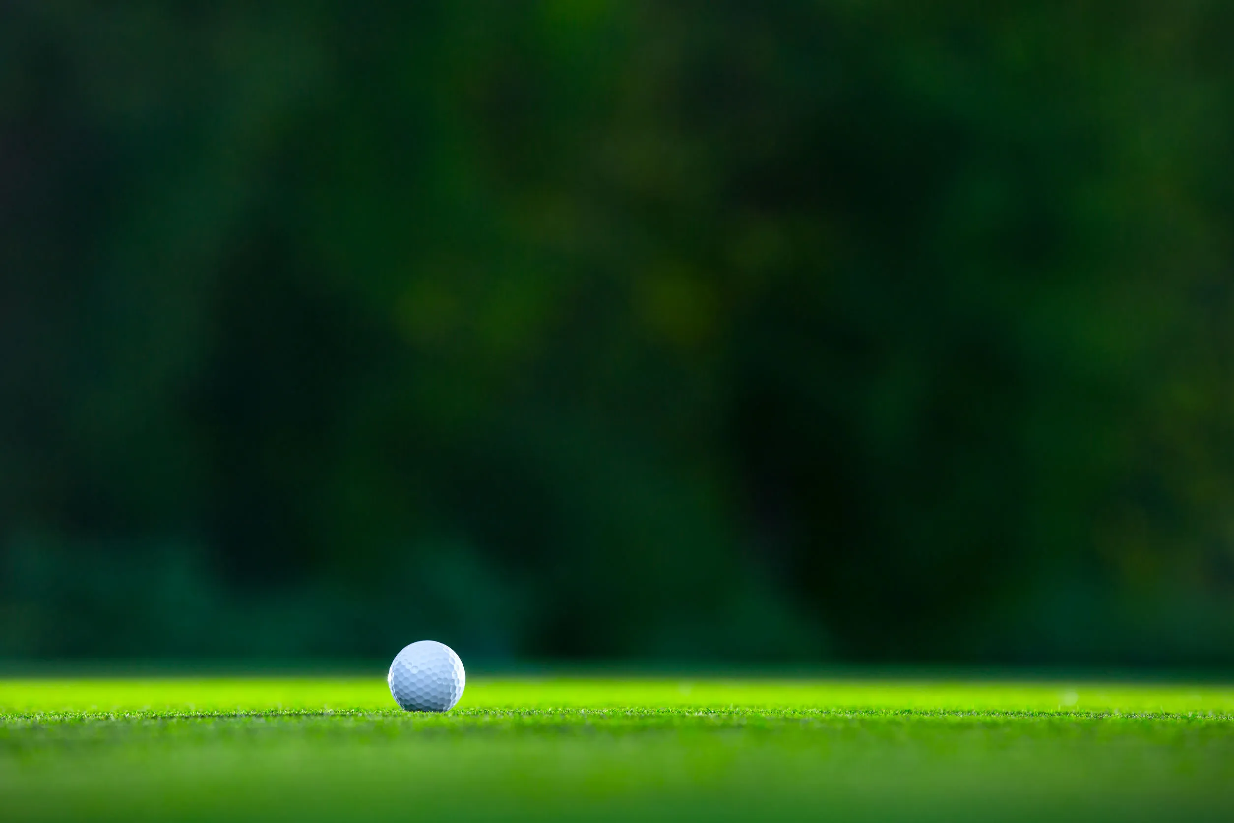Golfball auf dem Putting Green bei Morgentau, Nahaufnahme auf sattem Rasen – Golfplatz, Sport, präzises Putting