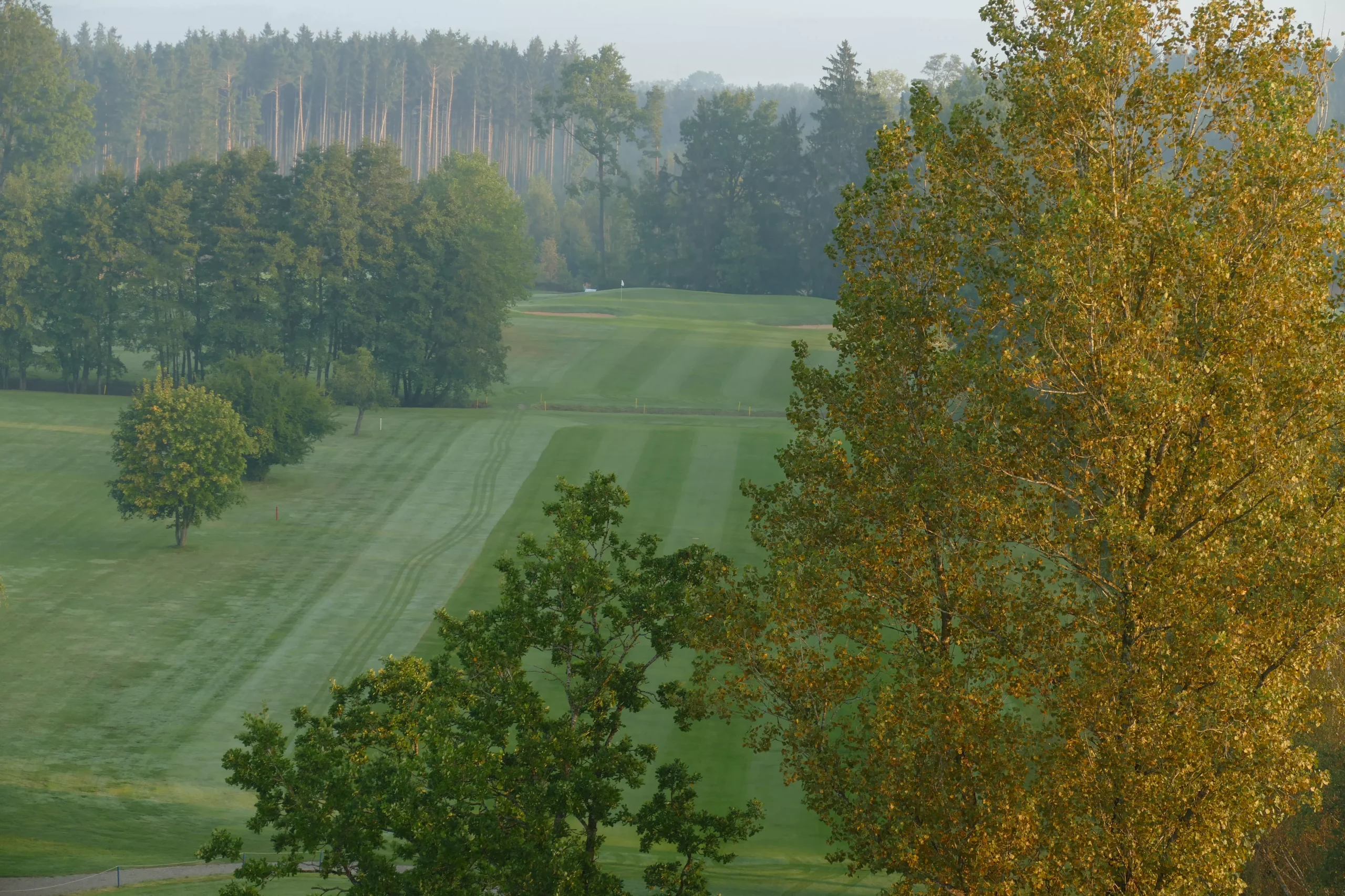 Golfplatz im Morgendunst: grünes Fairway mit Bäumen und Waldkulisse, ruhige Naturidylle für Golfurlaub und Outdoor