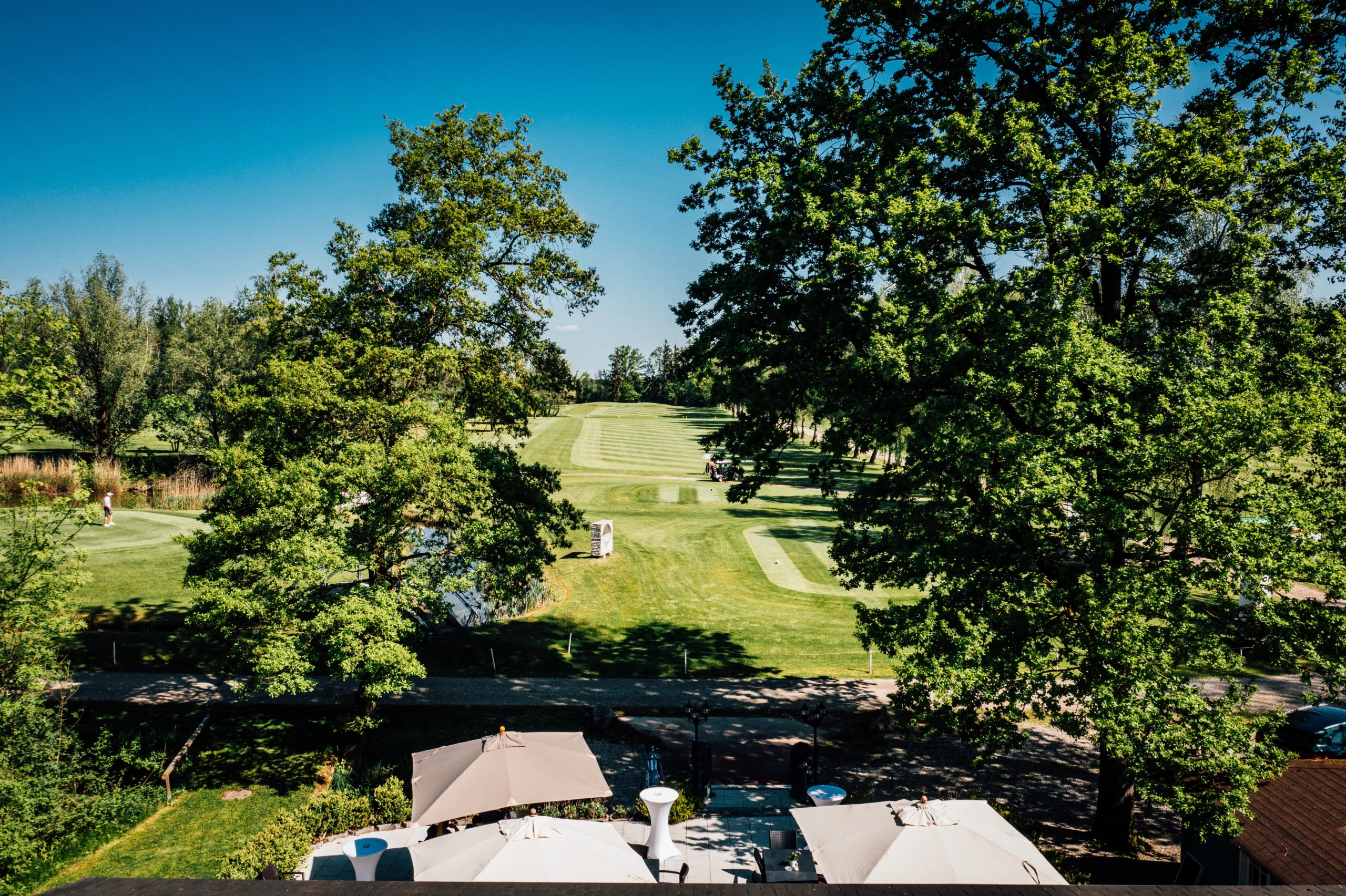 Panoramablick auf grünen Golfplatz mit Fairway, alten Bäumen und Sonnenterrasse unter blauem Himmel